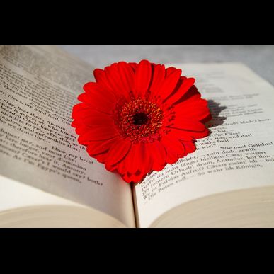 福岡市西区生松台の新築一戸建てオープンハウス開催致します♪